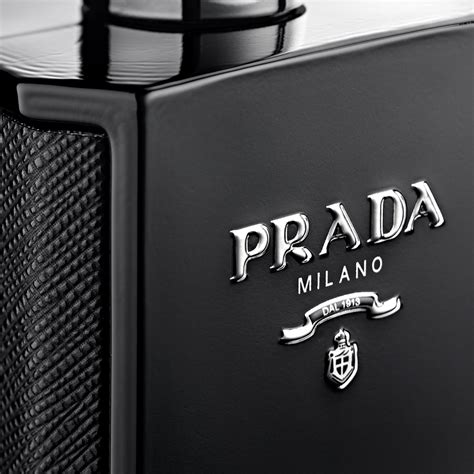 l homme prada douglas